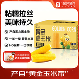 建三江黄金糯玉米3.8斤 240g*8根 黏玉米 东北玉米 早餐零食