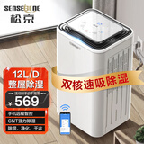 松京（SenseGene）DH02A 除湿机/抽湿机 12升/天 手机远程智控家用负离子净化轻音节能干衣吸湿器