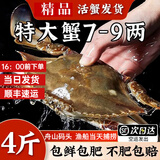 【活蟹】鲜活梭子蟹大螃蟹浙江舟山冰鲜飞蟹花蟹生鲜蟹类中秋礼盒 淡膏母蟹3斤【6-7/只】（鲜活打氧发货）