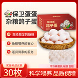 保卫蛋蛋 山东新鲜鸽子蛋 30枚中秋礼盒宝宝孕妇放心吃1.1斤/盒 源头直发