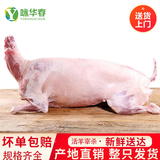 咏华春【整只全羊】新疆草原散养羔羊新鲜现杀阿勒泰大尾羊整羊腿烤全羊 新疆全羊20斤左右