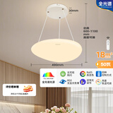 松下（Panasonic）柔云系列吊灯50瓦奶油风全光谱已接入米家APP智能