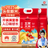 高氏禾田2025头茬新米五常大米稻花香米5kg*2（2袋）