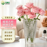 吕姆克玻璃花瓶插花水养高级感轻奢加厚鲜花插花瓶前台家用装饰摆件9002