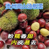 毛栗今年野生贵州栗子新鲜老树正宗贵州油栗毛栗子高山新鲜小板栗 贵州野生板栗 10斤 香甜软糯