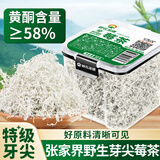 神农金康特级芽尖莓茶50g 野生张家界三月新茶搭永顺莓茶