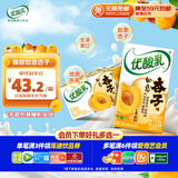 伊利优酸乳如意杏子味250ml*24盒 酸甜牛奶饮品 礼盒装