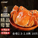 【活蟹】漁家师傅大闸蟹全母2.5-2.8两10只去绳足重鲜活螃蟹现货生鲜礼盒源头直发