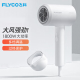 飞科（FLYCO）2000W电吹风机家用冷热风大功率不伤头发吹风筒强力大风可折叠电风吹恒温机吹飞便携 亮白【千万级负离子】