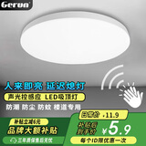 格润莱特（GERUN）led声光控感应吸顶灯三防楼梯间阳台过道走廊感光声控自动开关灯 15W Φ22cm 声光控感应吸顶灯 白光【三防款】
