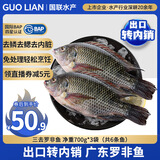 GUO LIAN国联水产 三去罗非鱼6条/4.2斤净重 非洲鲫鱼红烧鱼食材源头直发