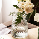 极度空间 玻璃花瓶客厅桌面装饰摆件水培器北欧风插花瓶透明花瓶布袋型