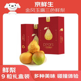 京鲜生 金风玉露三色鲜梨臻选礼盒9粒装 净重7斤 生鲜水果 源头直发