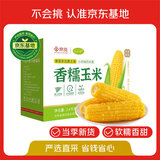 玉小胖&京觅【京东基地】25年新东北黄糯玉米棒10根5斤真空包装黏粘早餐