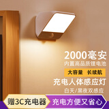 楼王入户门人体感应灯楼道门口玄关充电无线门牌射灯走廊过道进门磁吸 3色调光充电(黑环境/全天感应) 自带充电锂电池(人体感应),买1只