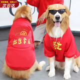 憨憨宠 狗狗衣服 狗衣服宠物衣服秋冬装卫衣中大型犬毛衣金毛大狗衣服 狗狗卫衣 4XL 适合45斤内的狗狗