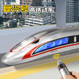泰芬乐（BIG TAYLOR）大号遥控车高铁玩具合金车模电动火车复兴号动车模型男孩生日礼物