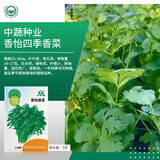 京农研农科院蔬菜种子大叶香菜四季小葱鸡毛菜红苋菜芝麻菜空心菜种籽孑 中蔬香怡香菜5克 耐热型四季易种