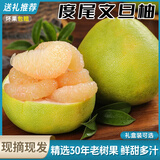 闽农语果正宗福建度尾文旦柚现摘当季新鲜柚子过节礼盒送礼红心蜜柚子 单果约1.3斤丨5斤精选装丨网袋装 团购/售后详询客服