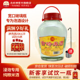 古嶺米酒50度4L泡酒白酒纯粮高度泡药酒专用米酒浸泡动植物药材酒 50%vol 4L 1瓶