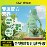 施可丰金钱树营养液专用肥料黄叶落叶烂根叶子发黄掉叶枯黄钱串子盆栽肥