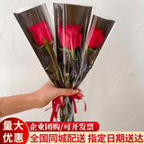 领香鲜花速递单支玫瑰花束康乃馨公司活动商务用花全国同城配送 单支红玫瑰（20支起送，单拍不发货）