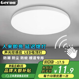 格润莱特（GERUN）led声光控感应吸顶灯三防楼梯间阳台过道走廊感光声控自动开关灯 21W Φ30cm 声光控感应吸顶灯 白光【三防款】