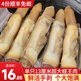 渔哥戏鱼蛏子肉 竹蛏子鲜活现剥250g 即食蛏子干海圣子鲜活现剥 蛏子肉 250g(净重) 