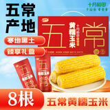 十月稻田 五常黄糯玉米 3.52斤(220g*8根) 东北玉米棒 早餐零食 杂粮礼盒