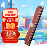 敦煌 盘古臻艺 24孔复音口琴 豆沙色G24 C调  初学推荐