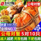 【活蟹】网兜蟹辽宁盘锦河蟹稻田河蟹礼盒螃蟹鲜活大闸蟹无绳净重 公母对蟹丨0.9-1.2两【5对】10只