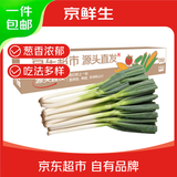 京鲜生山东正宗铁杆大葱净重5斤脆嫩佐料辅餐源头直发包邮