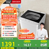 松下（Panasonic）【吴磊推荐】波轮洗衣机全自动10公斤大容量  抗菌除螨羽绒羊毛洗内衣洗衣机国家补贴XQB100-Q17CR