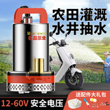 名磊（mlnGLel） 直流潜水泵电动抽水泵高扬程水泵农家用抽水机电车大流量水井泵 12V120W2.5米电源线(1寸口)