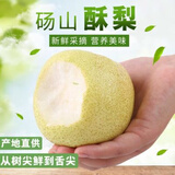 梨园颐珍正宗砀山酥梨新鲜梨子皇冠梨脆甜无渣多汁爽口当季水果整箱批发 国家地理标志授权认证产品 净重4.5斤左右（中大果）