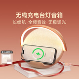 几光雕塑家蓝牙音箱无线充电音响台灯家用卧室床头结婚男女生日礼物 雕塑家蓝牙夜灯音箱丨奶咖棕