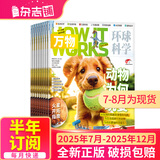 万物杂志2025年订阅 8-15岁青少年科学科普 3D图解知识 中小学生课外科普百科通识知识 How it works 中文版期刊单月/半年/全年少儿阅读杂志铺环球科学青少年版非英文版 【下半年订阅】