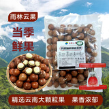 京鲜生 云南有机鲜夏威夷果 净1000g鲜果(非干果)奶香四溢 源头直发