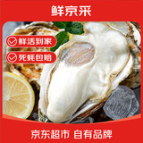 鲜京采 鲜活生蚝2XL 净重4斤 14-17只 鲜活到家 生鲜海鲜 源头直发