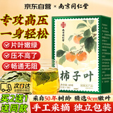 沈家村南京同仁堂柿子叶茶包降霜高三野压生脂高作用功效养生茶血中药材