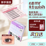 免胶假睫毛懒人三步曲ABA太阳花升级款自粘假睫毛太阳花+升级款