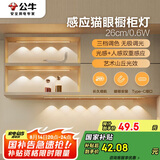 公牛（BULL）感应猫眼橱柜灯磁吸充电山丘光效展柜玄关氛围小夜灯 银26cm三色