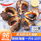 渔哥戏鱼海螺青岛鲜活大号海螺中号海螺小海螺特大海螺肉【鲜活发货】 中海螺 1500g 24-30只