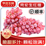 亨迅【顺丰】山西克伦生无籽红提葡萄脆甜提子克瑞森葡萄新鲜水果生鲜 【老农手选】净重5斤装