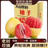 土八鲜福建柚子红心柚子蜜柚 时令新鲜水果红肉柚礼盒 倾国红柚8.5-9斤（4-5个）