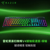 雷蛇（Razer）黑寡妇蜘蛛V4矮轴极速版 绿轴  机械键盘 有线/无线/蓝牙三模 TOP结构RGB灯效电竞游戏104键数字键