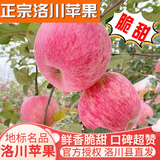洛川苹果陕西延安特产红富士时令苹果水果礼盒送苹果生鲜新鲜脆甜整箱批发 净重8.5斤 70-75mm彩箱装 爆卖