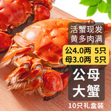 乾澄【活蟹】乾澄大闸蟹现货 公4.0两母3.0两10只5对鲜活螃蟹海鲜过年送礼年货礼盒源头直发