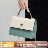 蔻一（Cnoles）包包女士款2025年最新款牛皮女生高端斜挎包通勤大容量单肩包