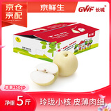 京鲜生 长城老树皇冠梨 净重5斤 单果250g+ 生鲜水果礼盒
